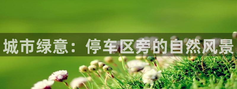新宝gg欢迎
