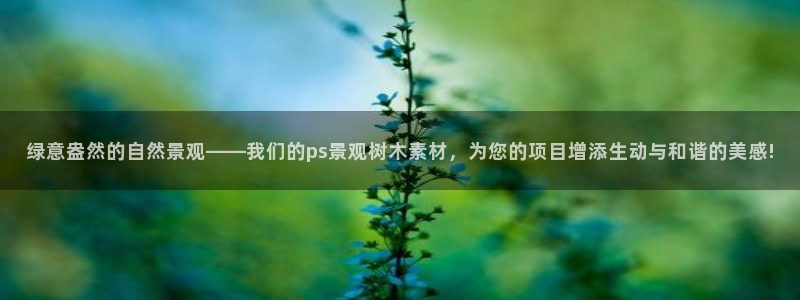 新宝gg信息
