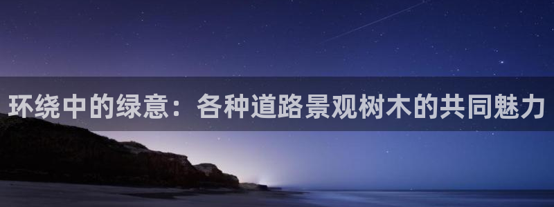 新宝GG管理