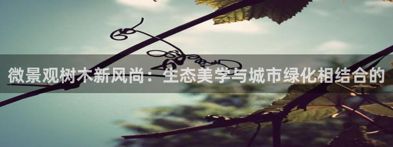新宝gg手机登录官网