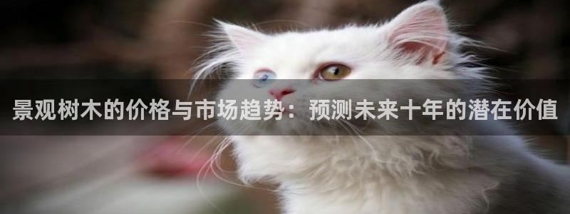 新宝gg奖金