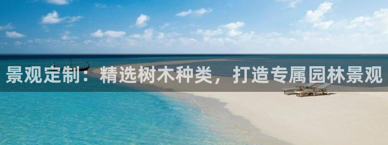 新宝.gg