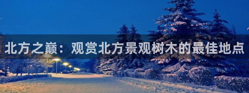 新宝gg__