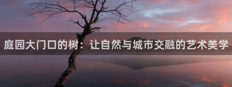新宝gg登录网址
