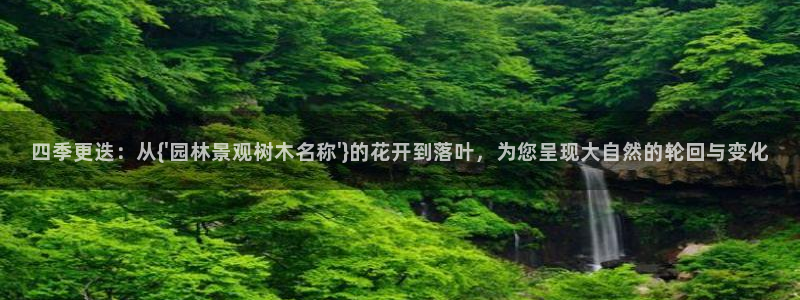 新宝gg盈亏
