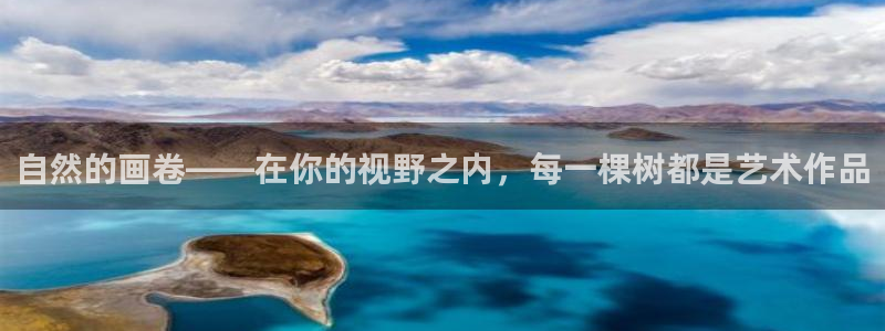 新宝gg 主管