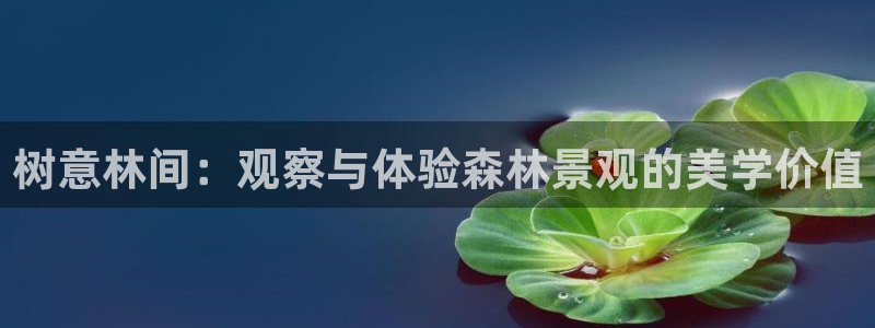 新宝 gg 下载
