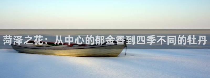 新宝gg类似