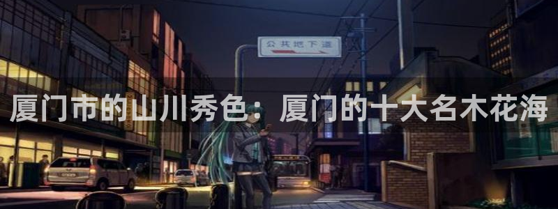 新宝gg账号