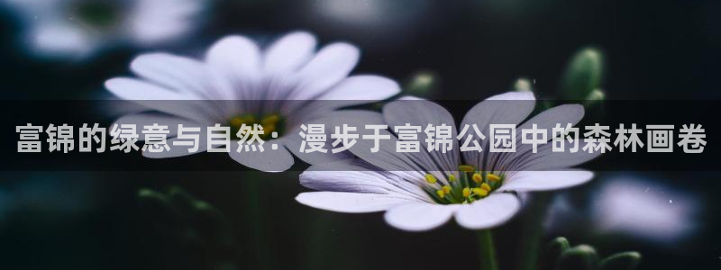 新宝gg群