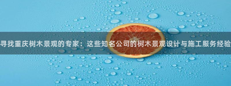 新宝gg主管_
