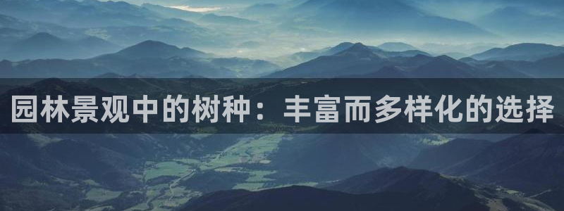 新宝gg软件