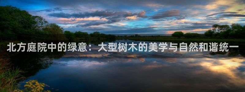 新宝gg投注