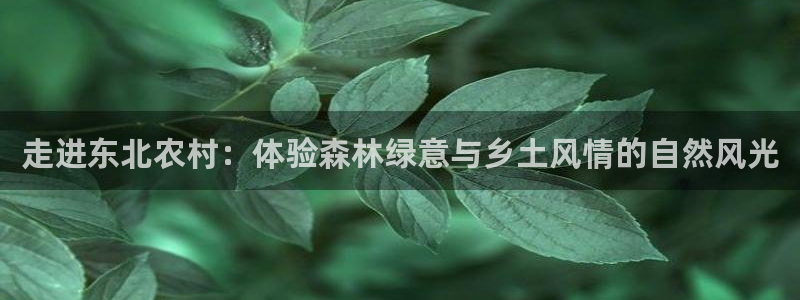 新宝gg漏洞