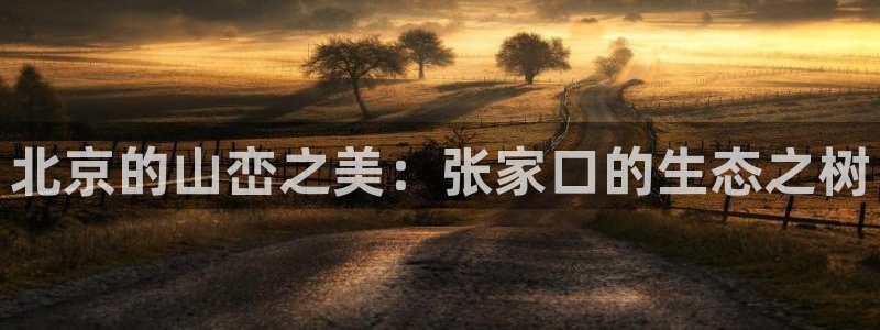 www.新宝gg