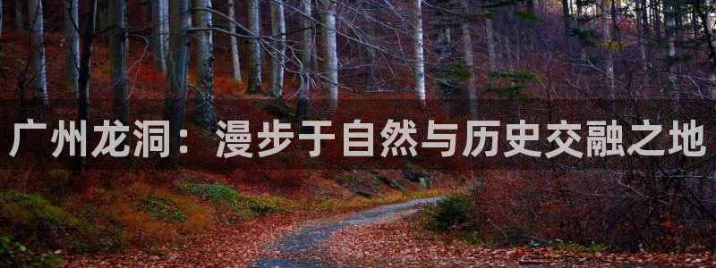 新宝gg地址