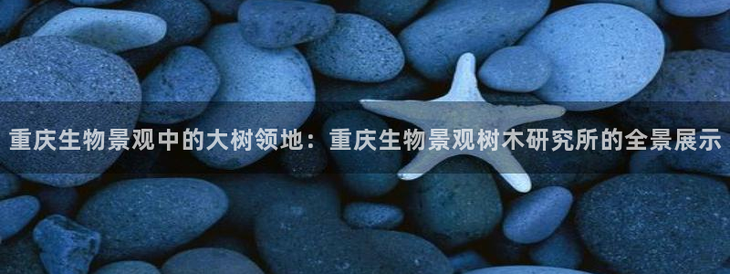 旧版新宝GG