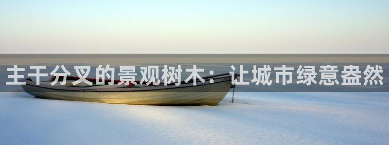新宝GG网页