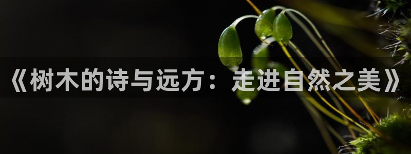 【新宝gg】