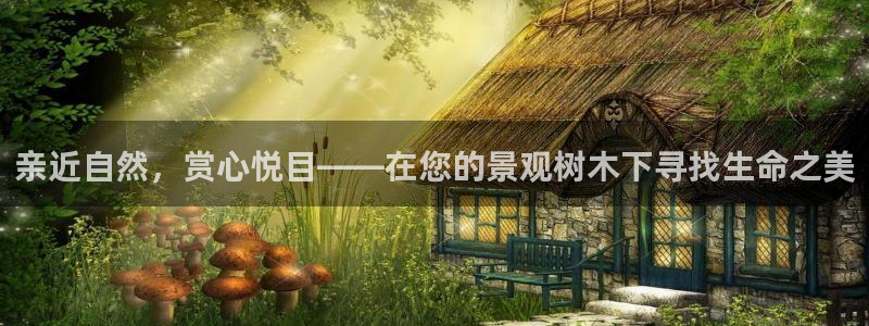 新宝创造Gg