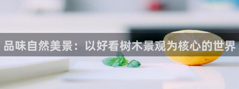 新宝gg创造奇迹 新宝gg