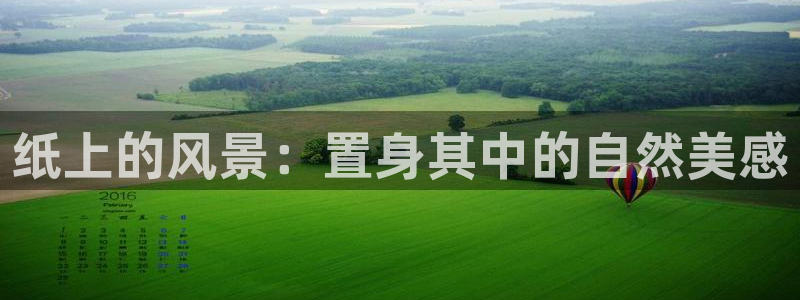 新宝哥gg