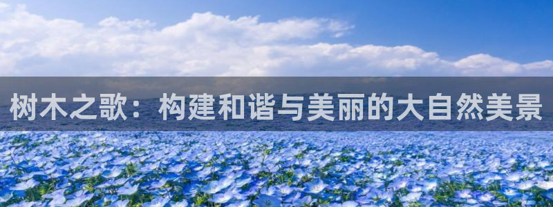 新宝gg可靠