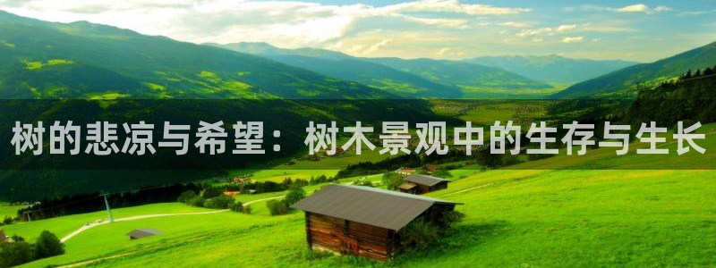 新宝GG亚洲