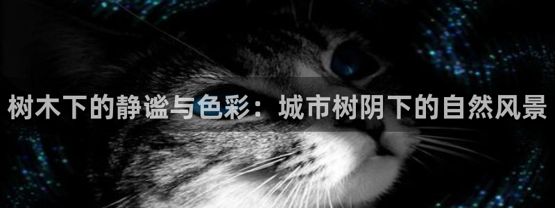 新宝哈哈gg