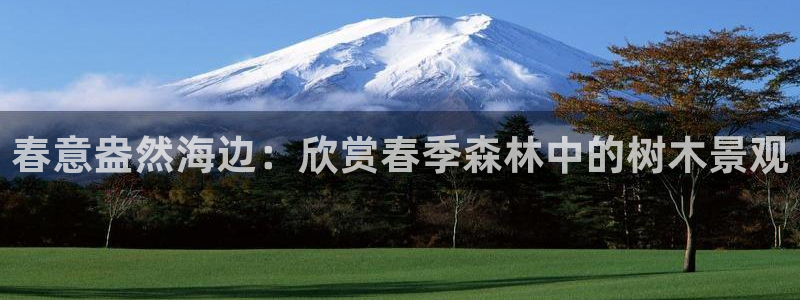 新宝gg 平台怎么样