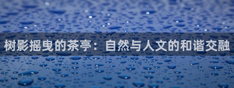 新宝gg体彩