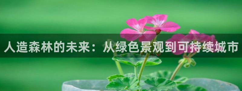 新宝GG绿色