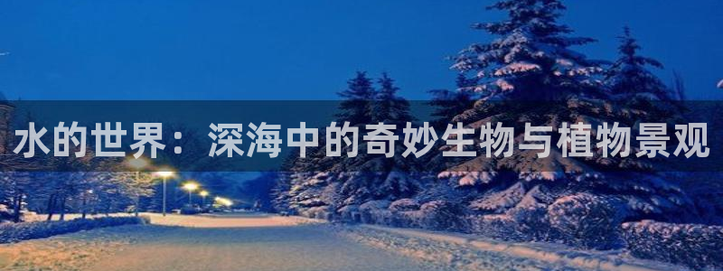 新宝gg娱乐上皇巢网