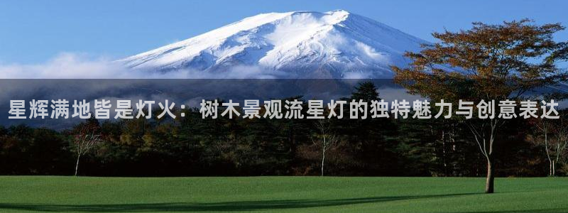 gg新宝6：星辉满地皆是灯火：树木景观流星灯的独特魅力与创意表达