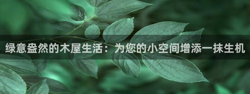 新宝新宝gg开户流程