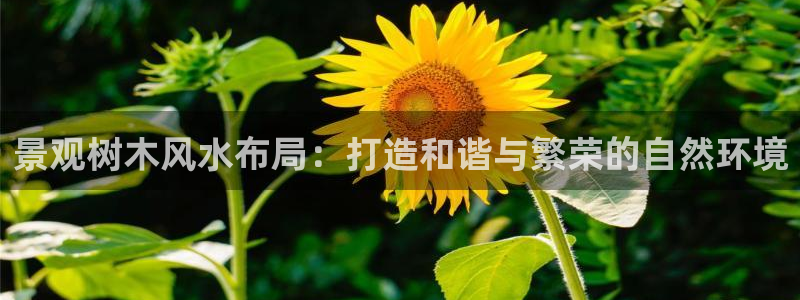 新宝gg开奖结果可信吗