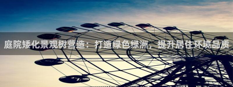 新宝平台gg