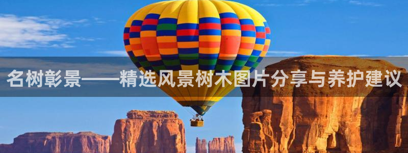新宝gg官方注册找上级：名树彰景——精选风景树木图片分享与养护建议