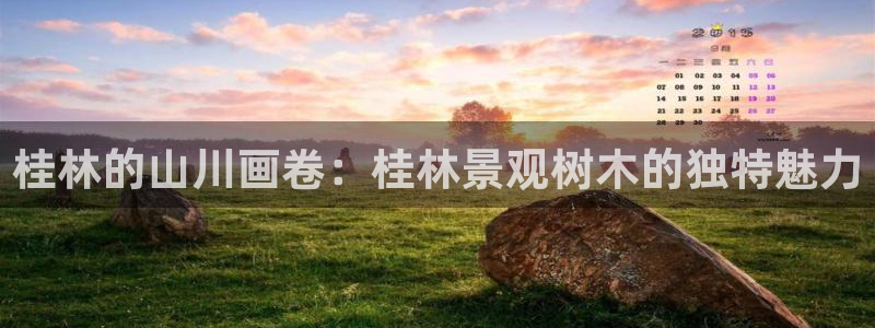 新宝gg网投