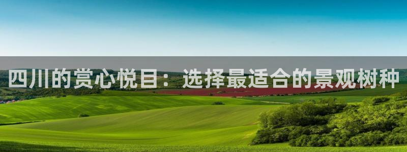 新宝gg龙虎