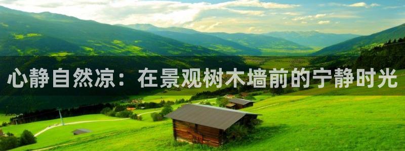 新宝gg是在境外吗