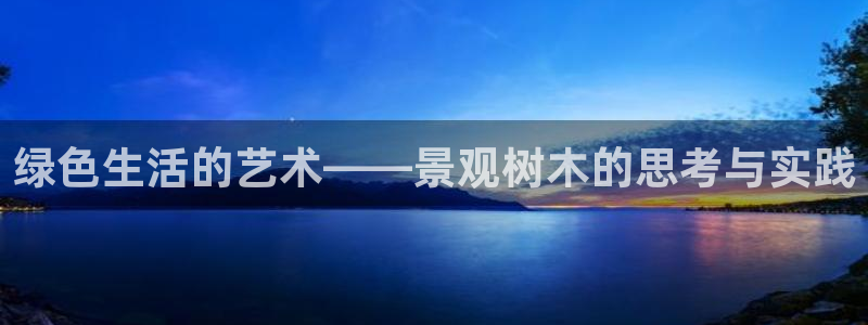 新宝GG的老板