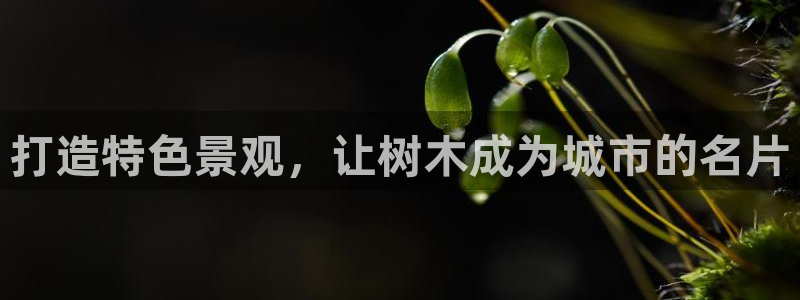 新宝亚洲GG
