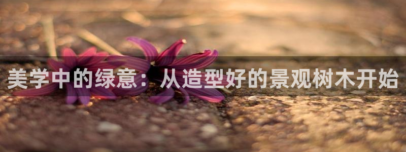 新宝给gg