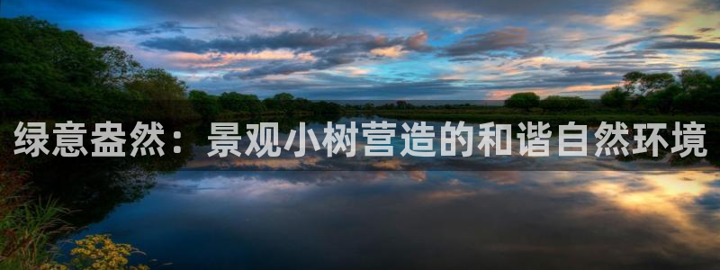 新宝gg软件下载