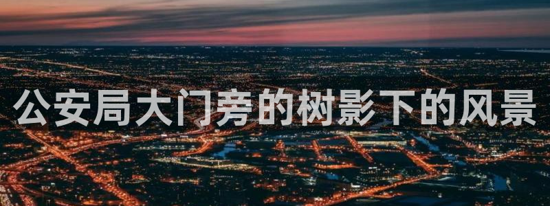 新宝gg娱乐盟主