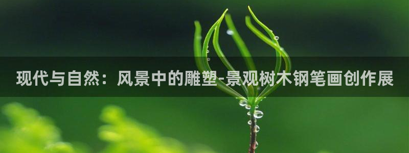 创造奇迹 新宝gg