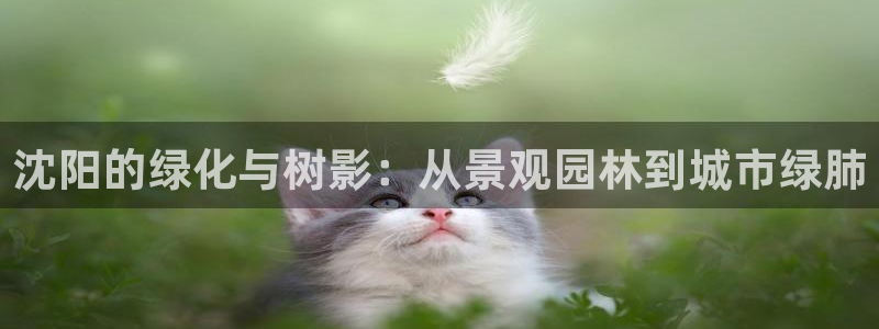 新宝GG专业团队