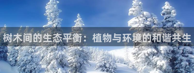 新宝GG速度