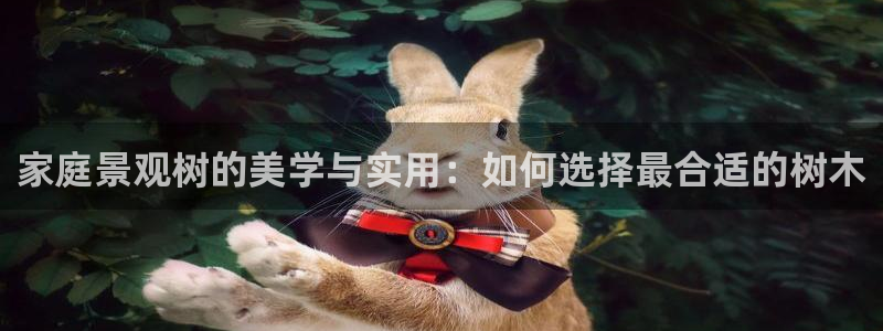 66新宝gg